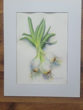 Original Watercolor titled 'An Onion's Tale'. Size 15" X 19" Matted.